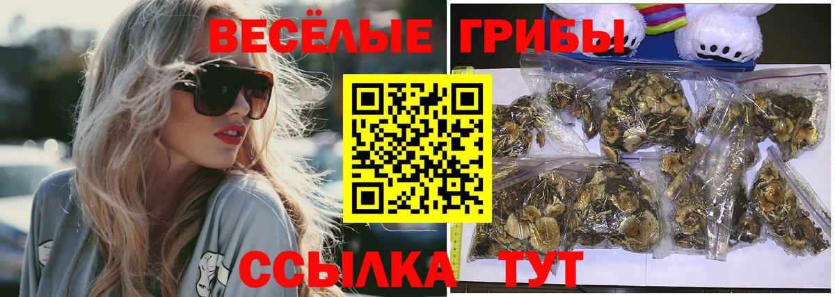 Галлюциногенные грибы Magic Shrooms Зерноград
