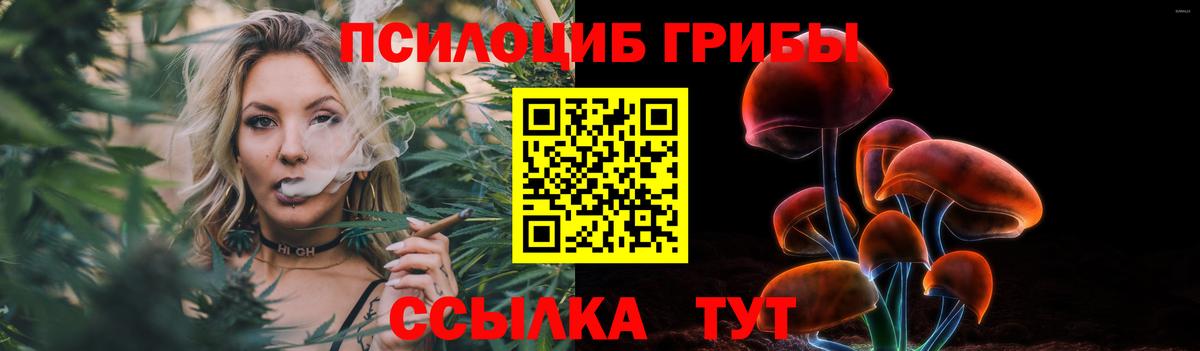 Зерноград  Галлюциногенные грибы мицелий  Вход с VPN 